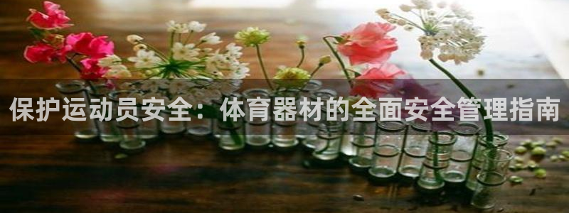 必一体育sport官