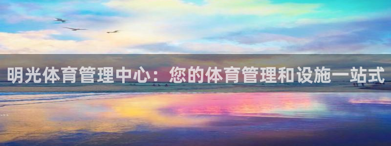 必一体育运动下载：明