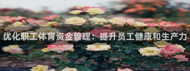 必一运动 b 体育素