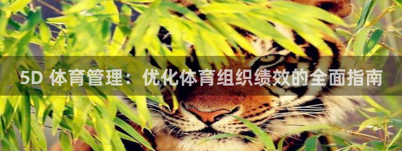 必一体育官网网站：5