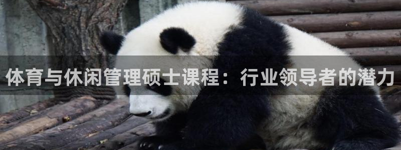 必一体育游戏特色：体