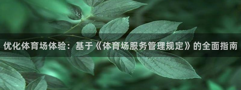 必一体育：优化体育场