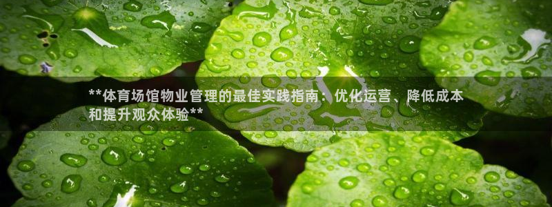 必一体育在线官网：*