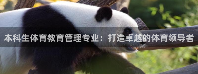 本科生体育教育管理专