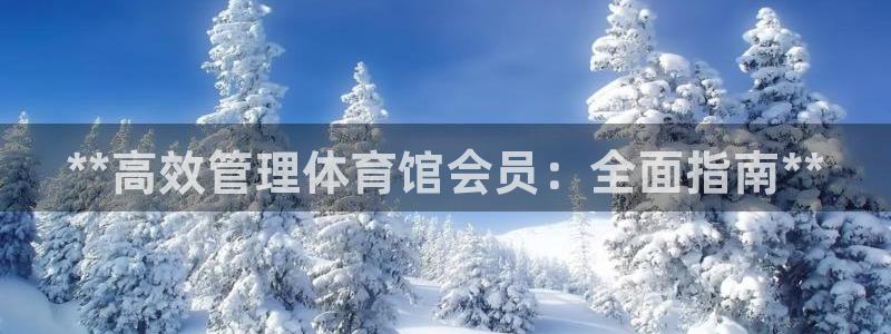 必一体育sport网