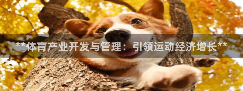 必一体育皮尔斯：**