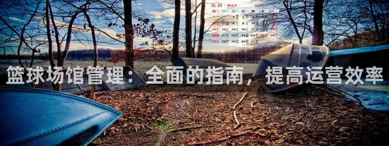 b体育必一运动网页版