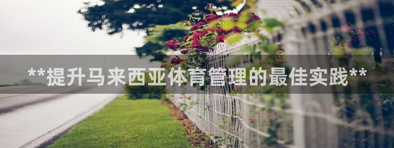 必一体育官方下载入口