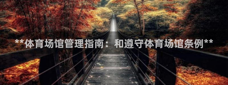 必一体育下载app下