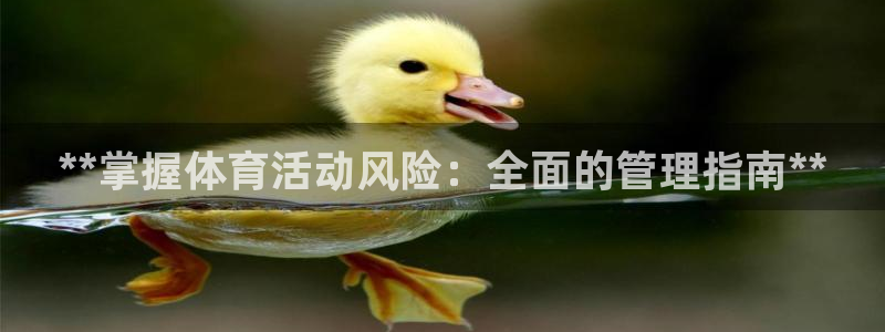 必一体育sport装机吧：**掌握体育活动风险：全面的管理指