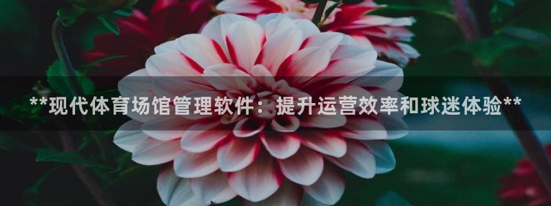 必一体育游戏玩法：**现代体育场馆管理软件：提升运营效率和球