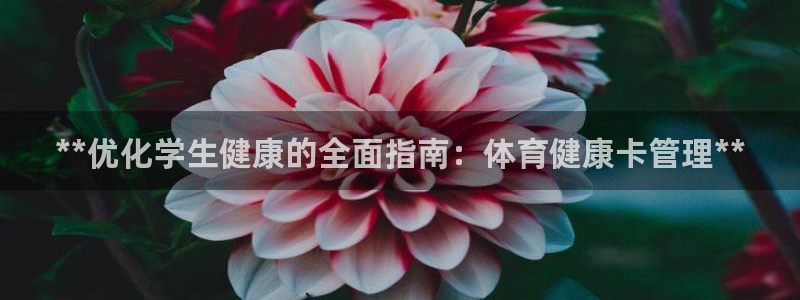 必一体育app下载安装：**优化学生健康的全面指南：体育健康