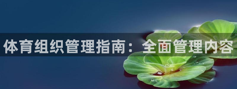 必一体育游戏玩法：体