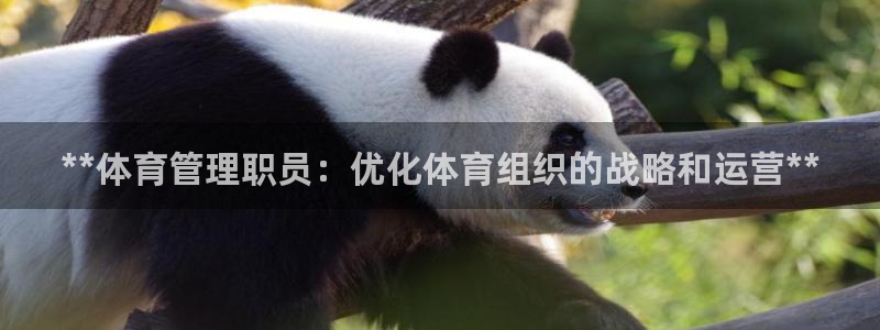 必一体育网址：**体