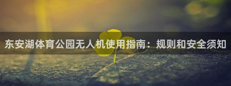 必一体育下载义：东安湖体育公园无人机使用指南：规则和安全须知