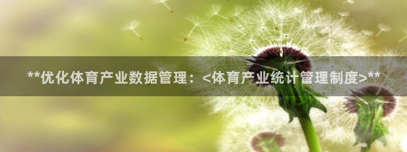 必一体育是啥：**优化体育产业数据管理：<体育产业统计管理制