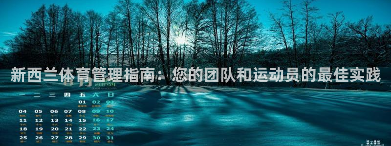 b体育必一运动网页版