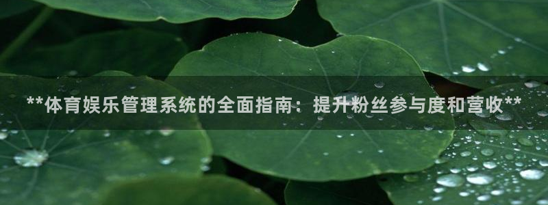 必一体育app官方下载入口：**体育娱乐管理系统的全面指南：