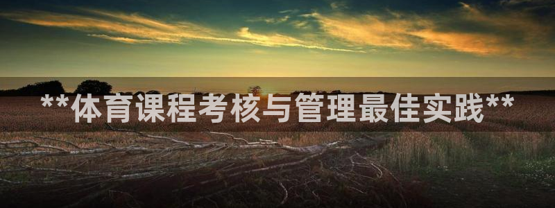 必一体育app平台下