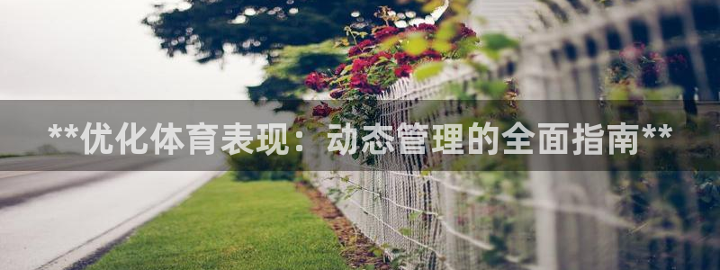 必一体育官网app：