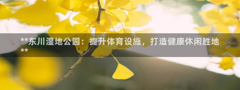 必一运动tieba.