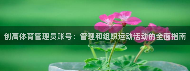 必一运动听的歌：创高