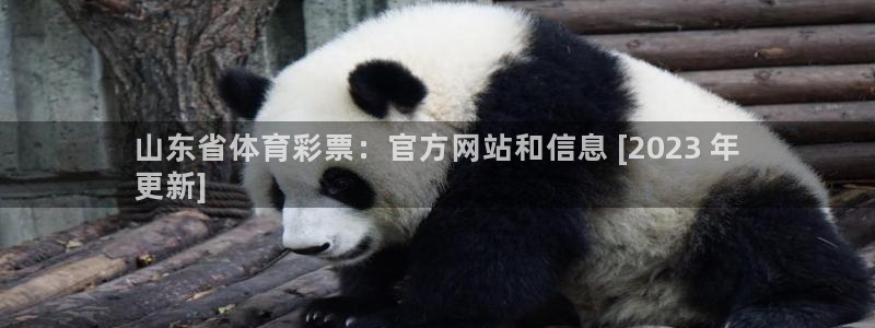 必一体育APP：山东