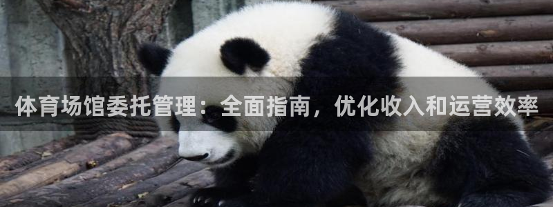 必一体育最新官网入口