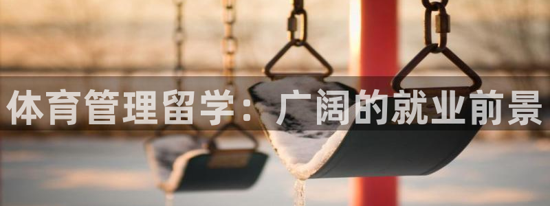 必一体育网页：体育管