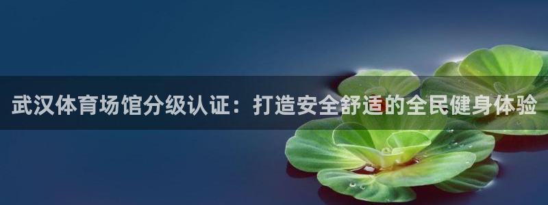 必一体育官网网址：武
