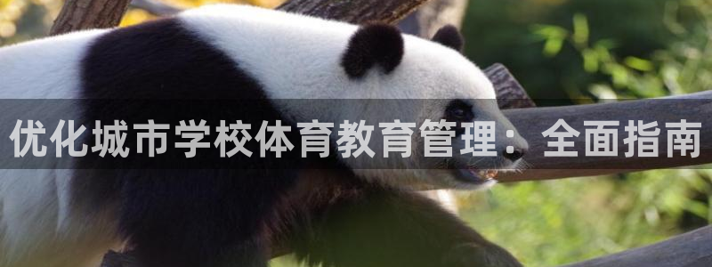 必一体育全站在线登录
