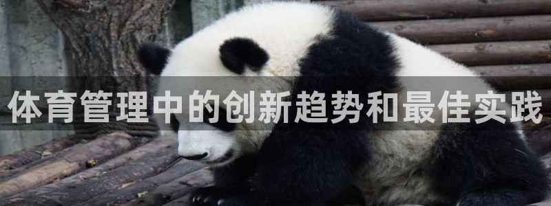 必一体育可靠吗：体育