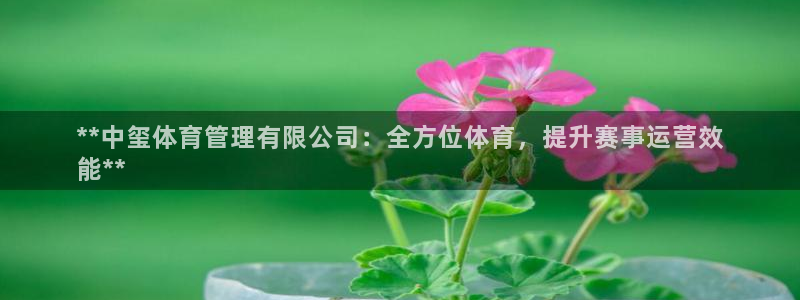 必一运动短信：**中
