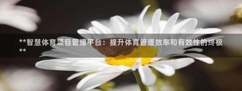 必一体育登陆：**智