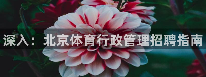 必一体育秀给网：深入