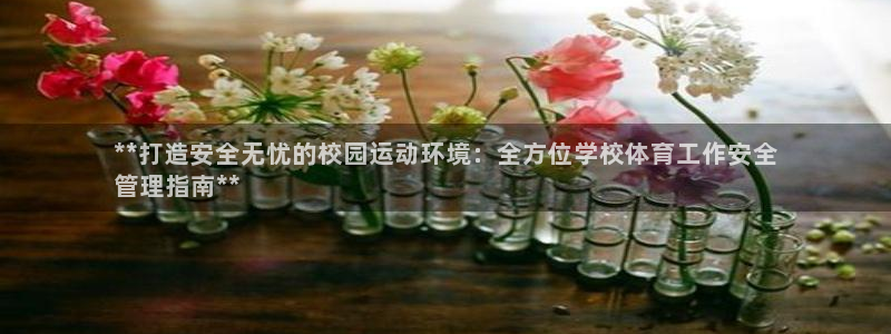 必一运动bsport
