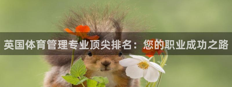 必一体育运动app：