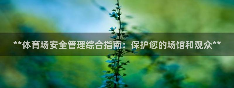 必一运动体：**体育