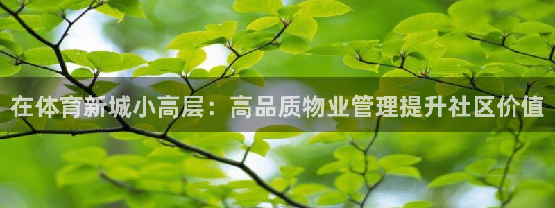 必一体育在线官网：在