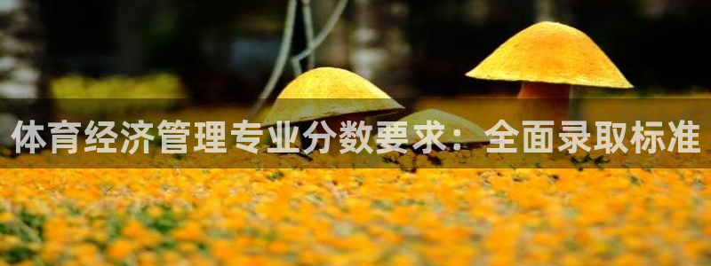 必一体育网站：体育经