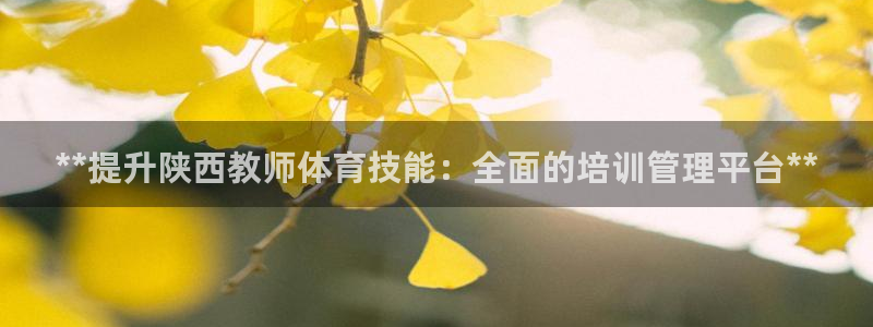 必一体育登录APP下