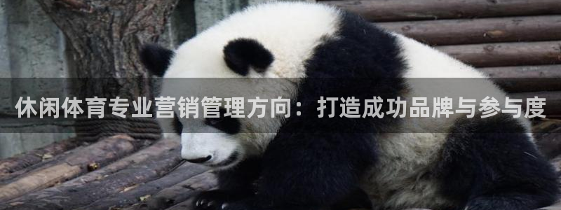 必一运动官网入口：休