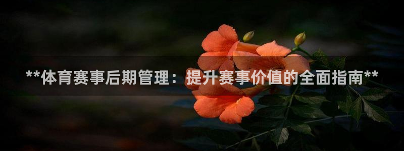 必一体育官网网站：*