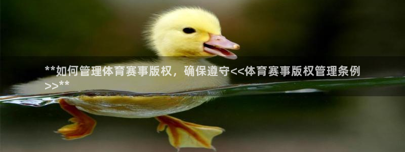 必一运动sport爱