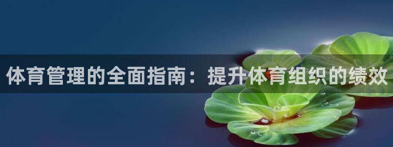 必一体育官方下载入口