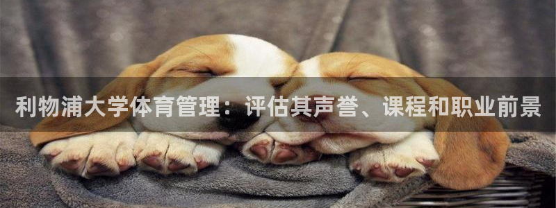 必一体育登陆：利物浦