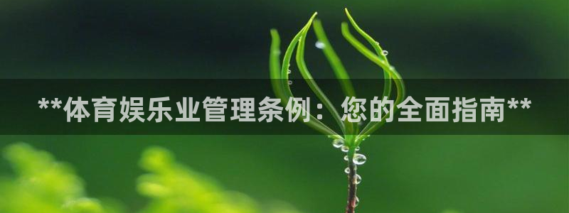 必一体育下载app下