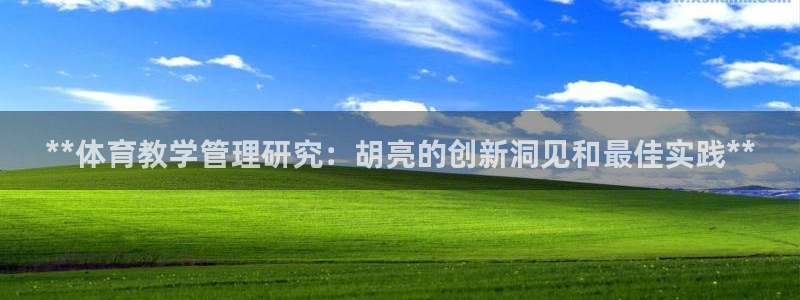 必一体育在线官网：*