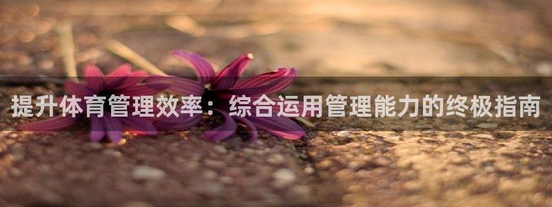 必一体育官方下载：提