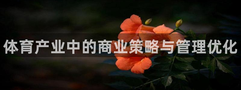 必一运动·(B-Sp